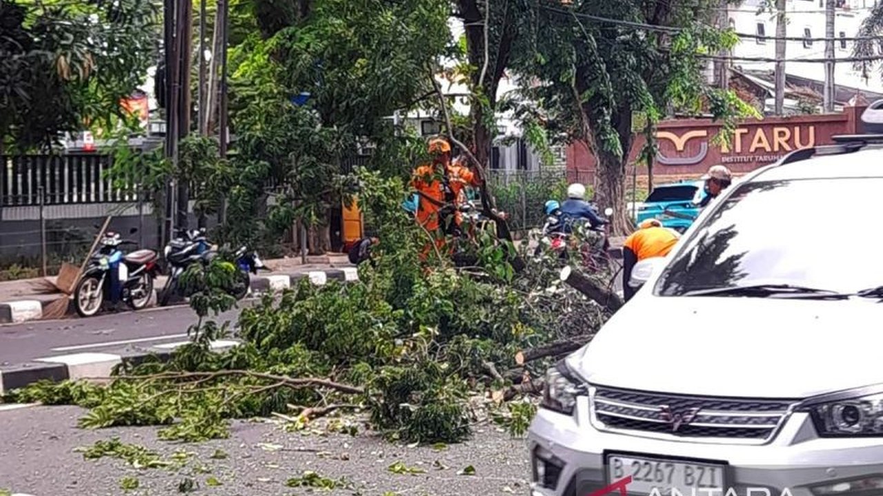 Jakarta Pusat dilanda enam kejadian pohon tumbang akibat angin kencang dan usia pohon tua pada Kamis (25/12), menyebabkan satu korban luka ringan dan gangguan akses jalan. Fenomena pohon tumbang Jakarta Pusat ini menjadi perhatian serius BPBD DKI.