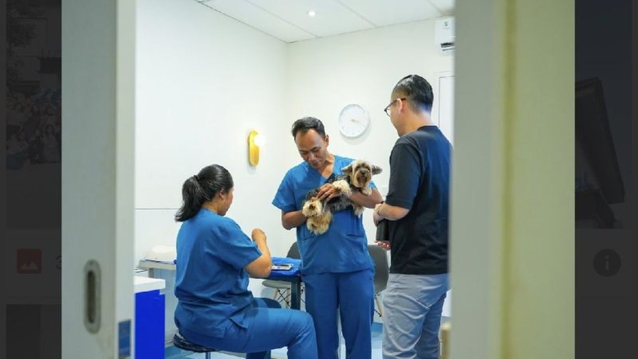 Fenomena baru di kota besar seperti Jakarta menunjukkan Budaya Perawatan Hewan Urban telah bergeser dari penanganan darurat menjadi bagian integral gaya hidup sehat, didukung teknologi dan kesadaran pemilik.
