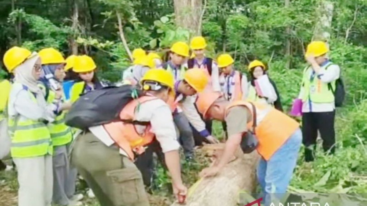 Sebanyak 228 mahasiswa Fakultas Kehutanan ULM telah menyelesaikan Praktik Kehutanan ULM di Perhutani Forestry Institute (PeFI) Madiun, Jawa Timur, guna meningkatkan kompetensi dan wawasan mereka di bidang pengelolaan hutan tanaman berkelanjutan.