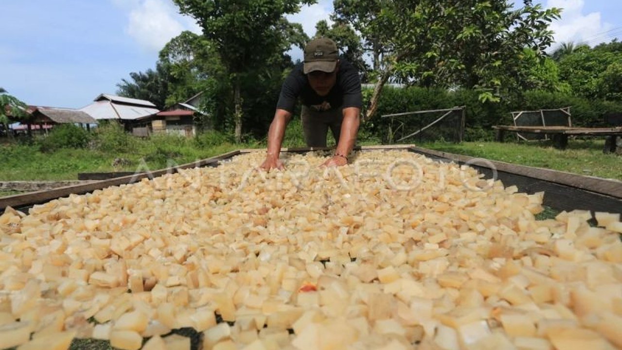 Kementerian Usaha Mikro, Kecil, dan Menengah (UMKM) bersama Ikatan Konsultan Pajak Indonesia (IKPI) meluncurkan program pendampingan pajak UMKM di seluruh Indonesia, menawarkan edukasi, konsultasi, dan bantuan kepatuhan pajak untuk mendorong pertumbuhan u