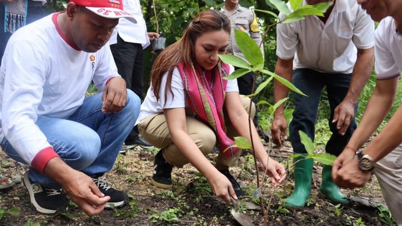 Kolaborasi antara Pemkot Kupang dan Partai Gerindra melalui Penanaman Pohon Produktif Kupang diharapkan mampu menjaga kelestarian lingkungan sekaligus mendorong perekonomian masyarakat setempat.