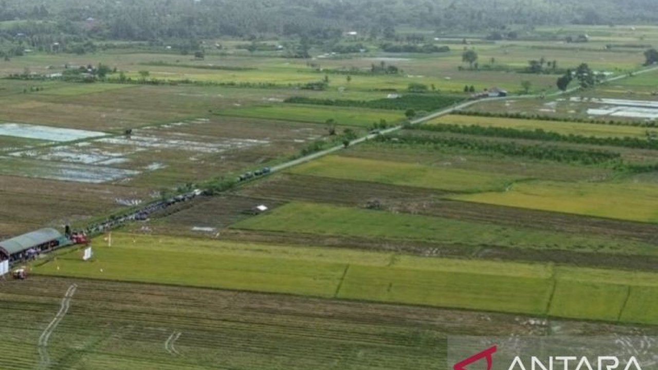 Pemerintah Provinsi Maluku mendistribusikan 196 unit irigasi perpompaan untuk mengairi lahan kering, memperkuat ketahanan pangan, dan mendukung swasembada pangan Maluku pada tahun 2026.