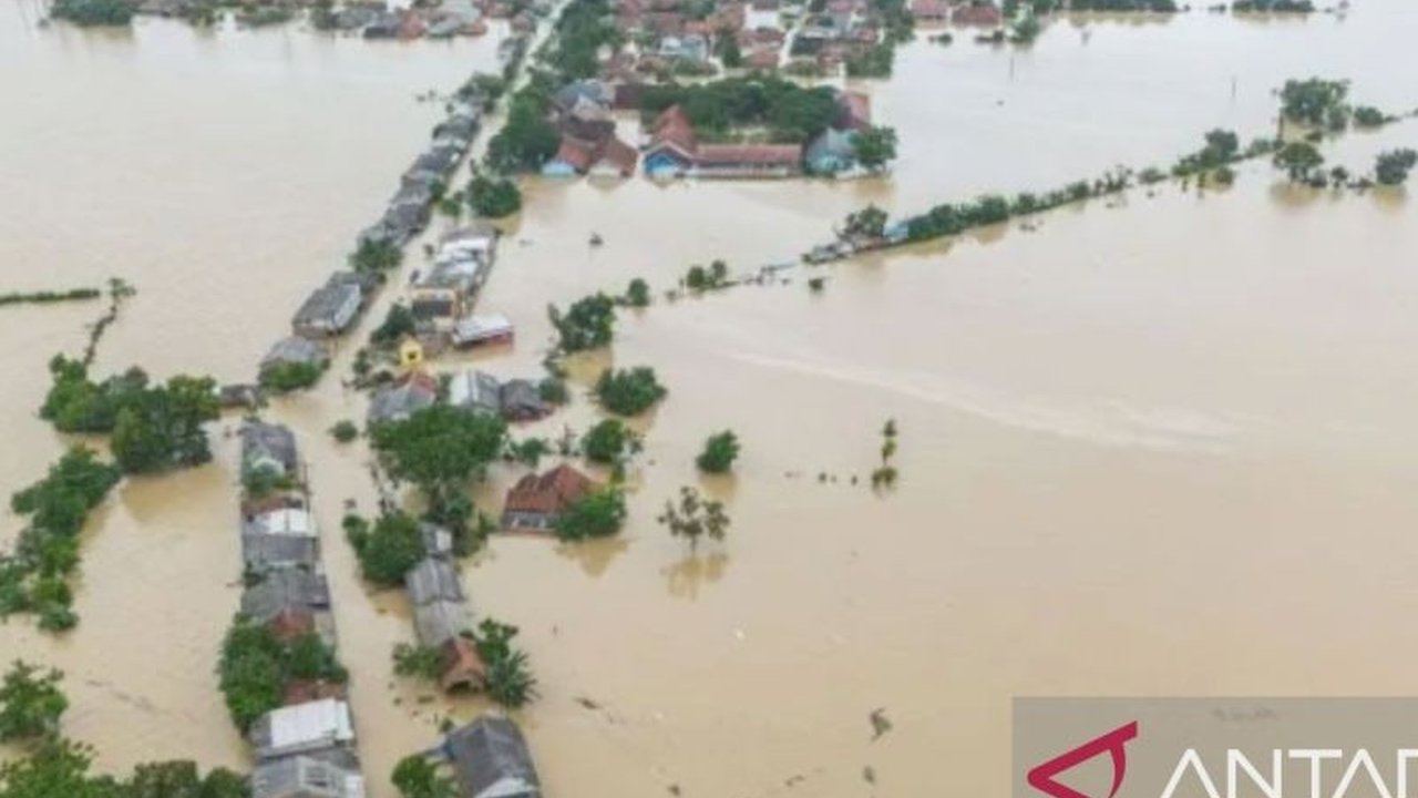 Banjir Karawang meluas, merendam ribuan hektare sawah dan memaksa warga mengungsi. Ketahui penyebab dan dampak terkini bencana alam ini yang mengancam ketahanan pangan.