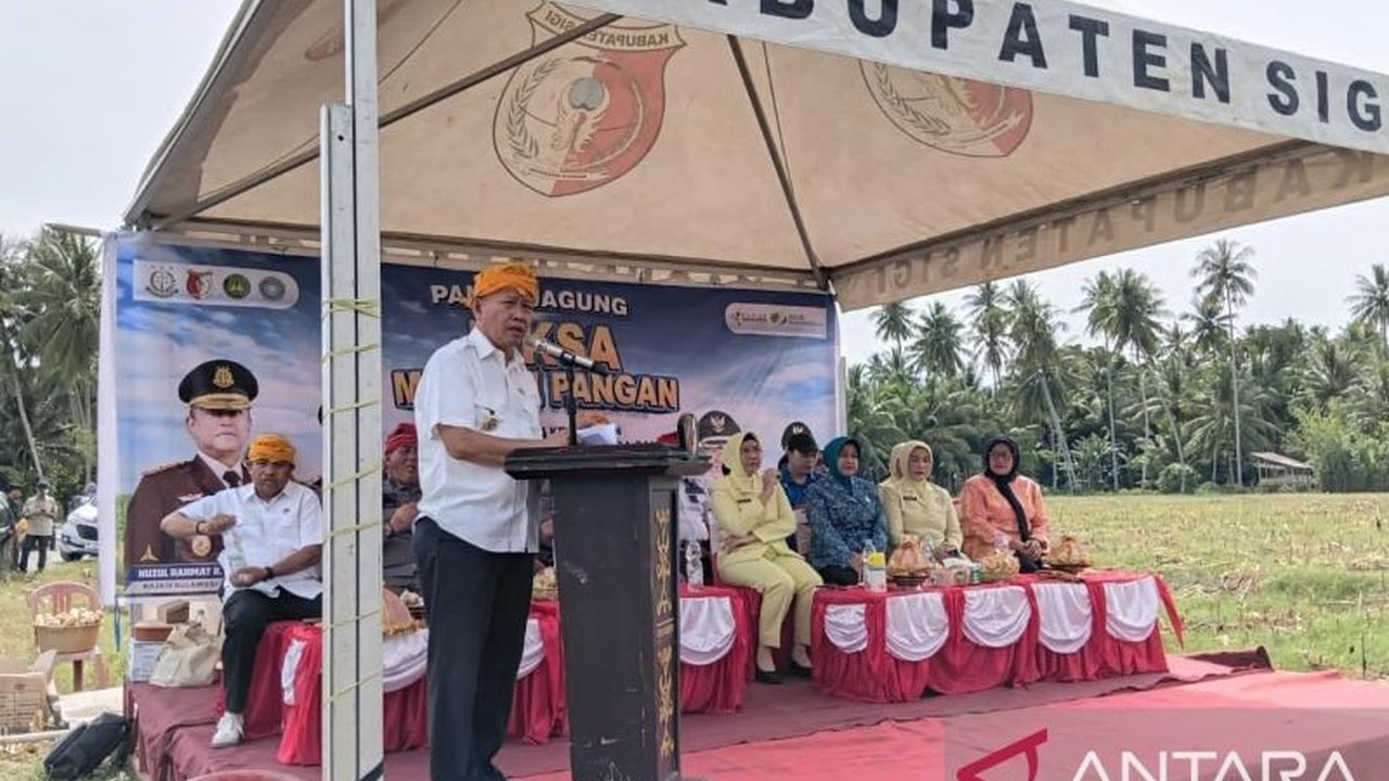 Pemerintah Kabupaten Sigi mengukuhkan komitmen ketahanan pangan melalui panen raya jagung dan padi, melibatkan berbagai pihak untuk stabilitas pasokan dan peningkatan produksi pertanian di wilayah tersebut.