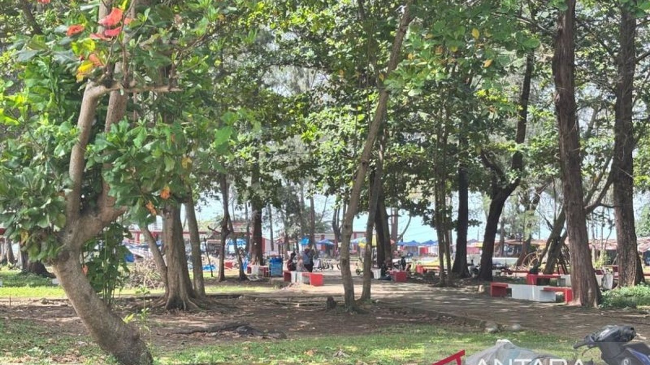 Pemerintah Kota Bengkulu mengalokasikan Rp1 miliar dari APBD untuk pembangunan 100 unit gazebo di kawasan pantai, sebagai upaya meningkatkan kenyamanan wisatawan dan membersihkan citra dari pungutan liar.