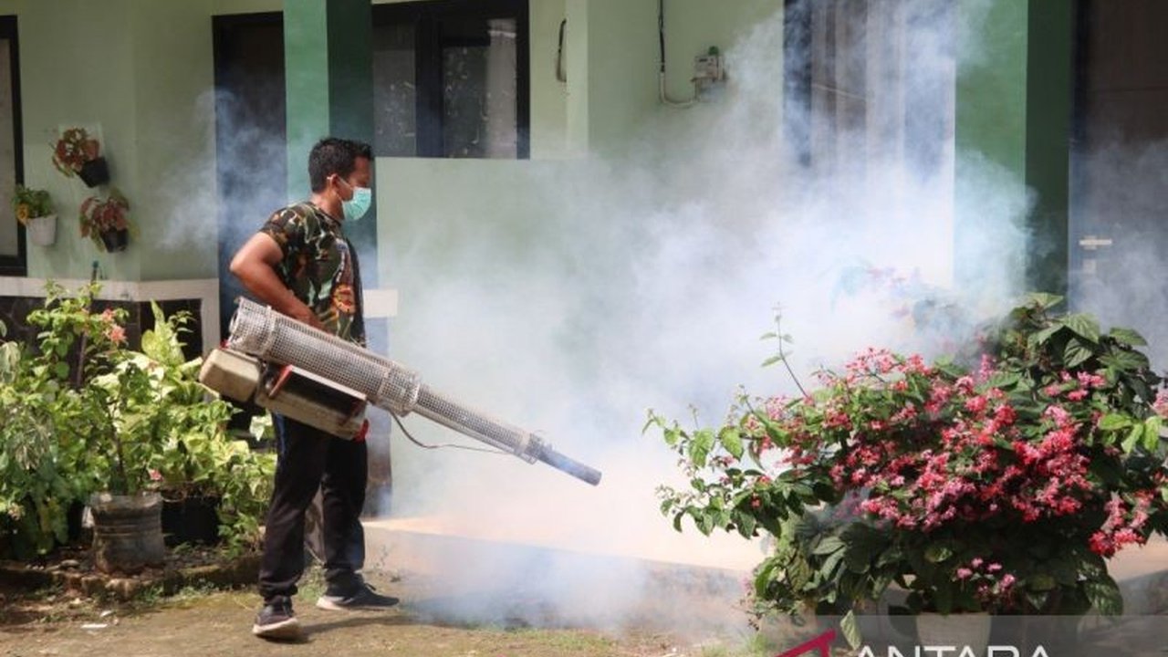 Dinas Kesehatan Sumenep melaporkan 70 kasus Demam Berdarah Sumenep dalam awal tahun 2026. Angka ini memicu kewaspadaan dan imbauan intensif untuk pencegahan. Apa langkah yang diambil pemerintah daerah?