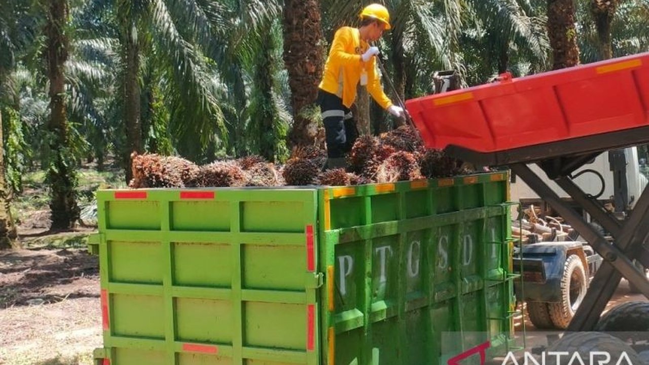 Gabungan Pengusaha Kelapa Sawit Indonesia (Gapki) optimistis Industri Sawit Nasional terus tumbuh sebagai pilar ekonomi, solusi pangan, dan energi berkelanjutan. Simak peran strategisnya.