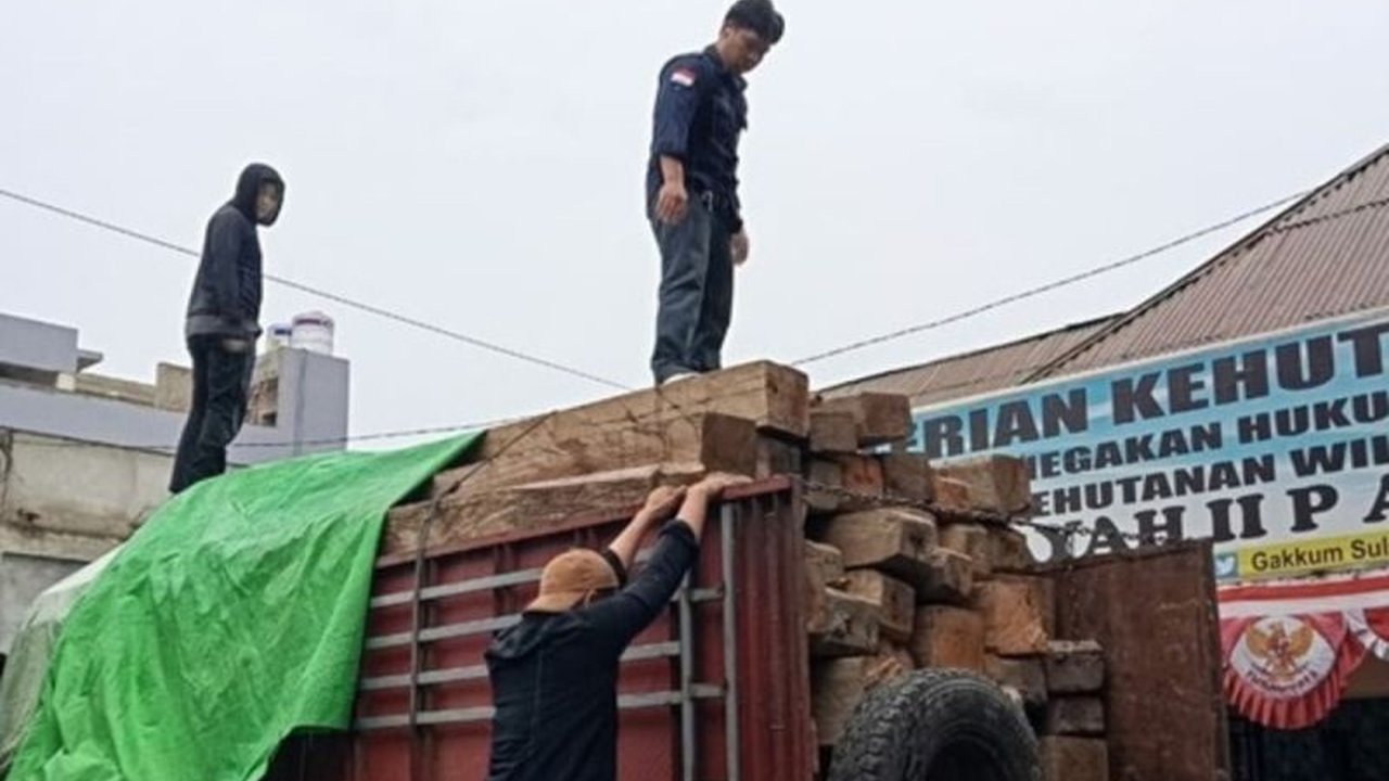 Kementerian Kehutanan (Kemenhut) menunjukkan komitmen kuat dalam memberantas praktik ilegal, siap menyidangkan pengangkut puluhan kayu ilegal di Donggala, Sulawesi Tengah, dengan ancaman pidana berat.
