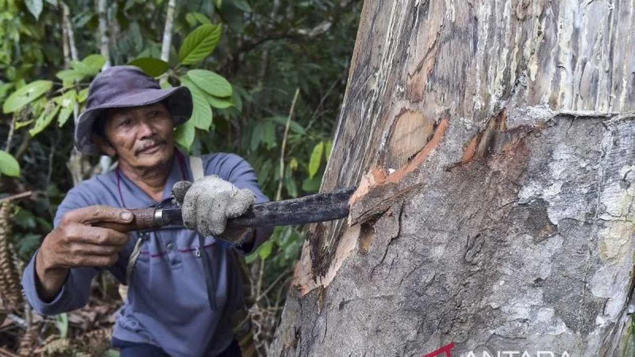 Integrasi program komoditas unggulan Kementan dengan Perhutanan Sosial membuka peluang besar untuk peningkatan nilai tambah, daya saing produk, serta kesejahteraan masyarakat desa hutan, sekaligus menjaga fungsi ekologis kawasan hutan.