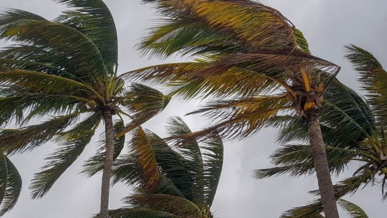 Badan Meteorologi, Klimatologi, dan Geofisika (BMKG) mengeluarkan peringatan dini terkait potensi dampak tidak langsung Siklon Tropis Luana yang dapat memicu angin kencang di wilayah Jawa Tengah bagian selatan, termasuk Cilacap, pada 24 Januari 2026. Masy