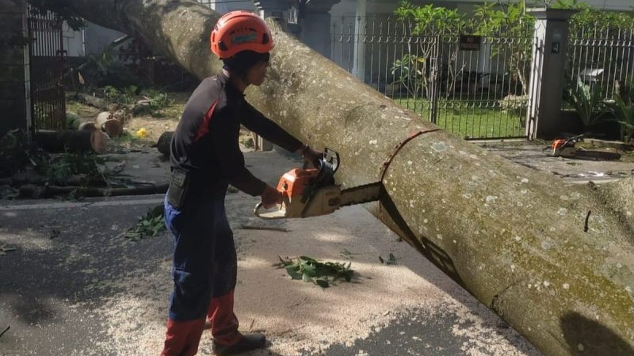 Badan Meteorologi, Klimatologi, dan Geofisika (BMKG) menjelaskan fenomena Angin Kencang Malang Raya yang dipicu monsun Asia hingga siklon tropis, berpotensi memicu bencana hidrometeorologi.