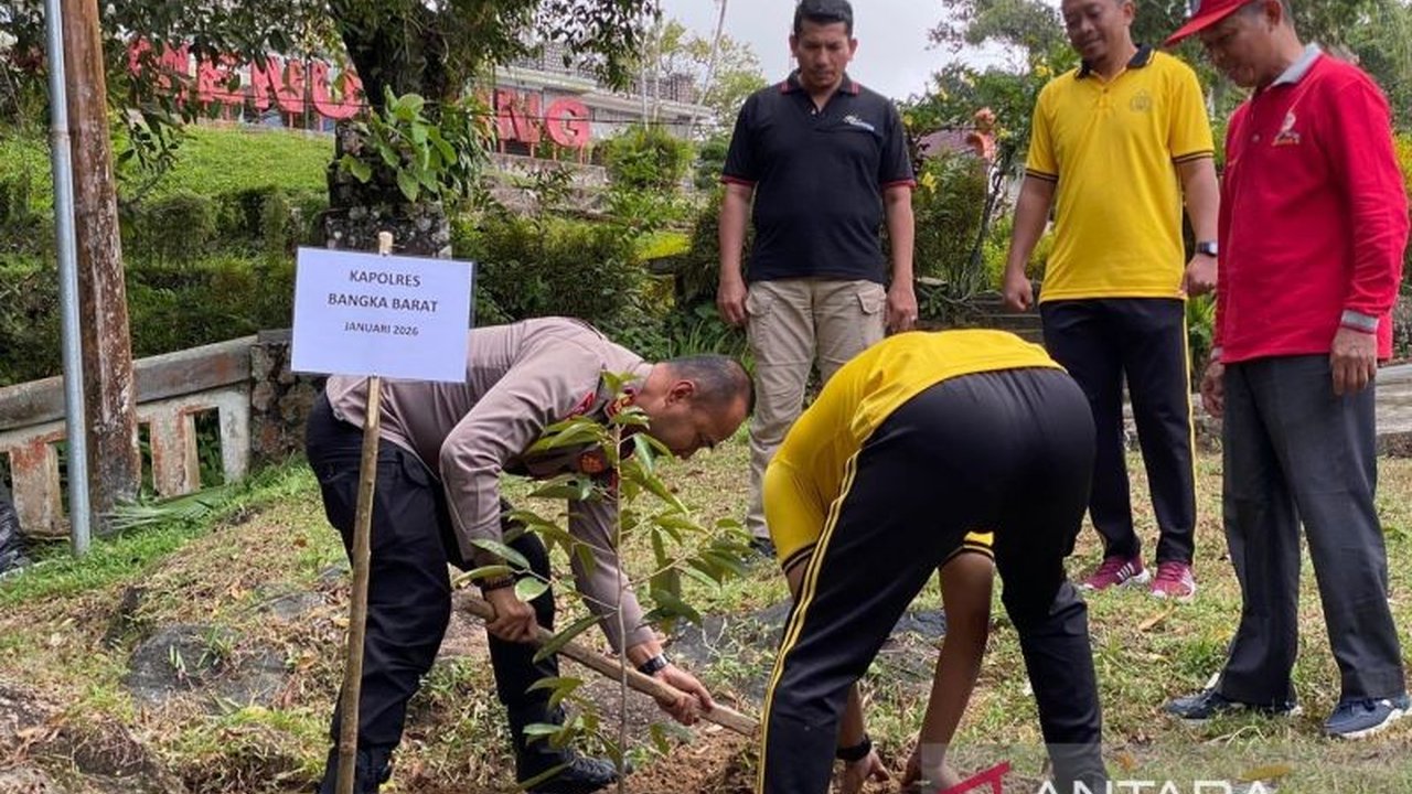 Polres Bangka Barat menunjukkan komitmen kuat dalam pelestarian lingkungan dan warisan sejarah melalui aksi Penanaman Pohon Polres Bangka Barat di puncak Bukit Menumbing. Inisiatif ini diharapkan membawa manfaat ganda bagi alam dan ekonomi lokal.