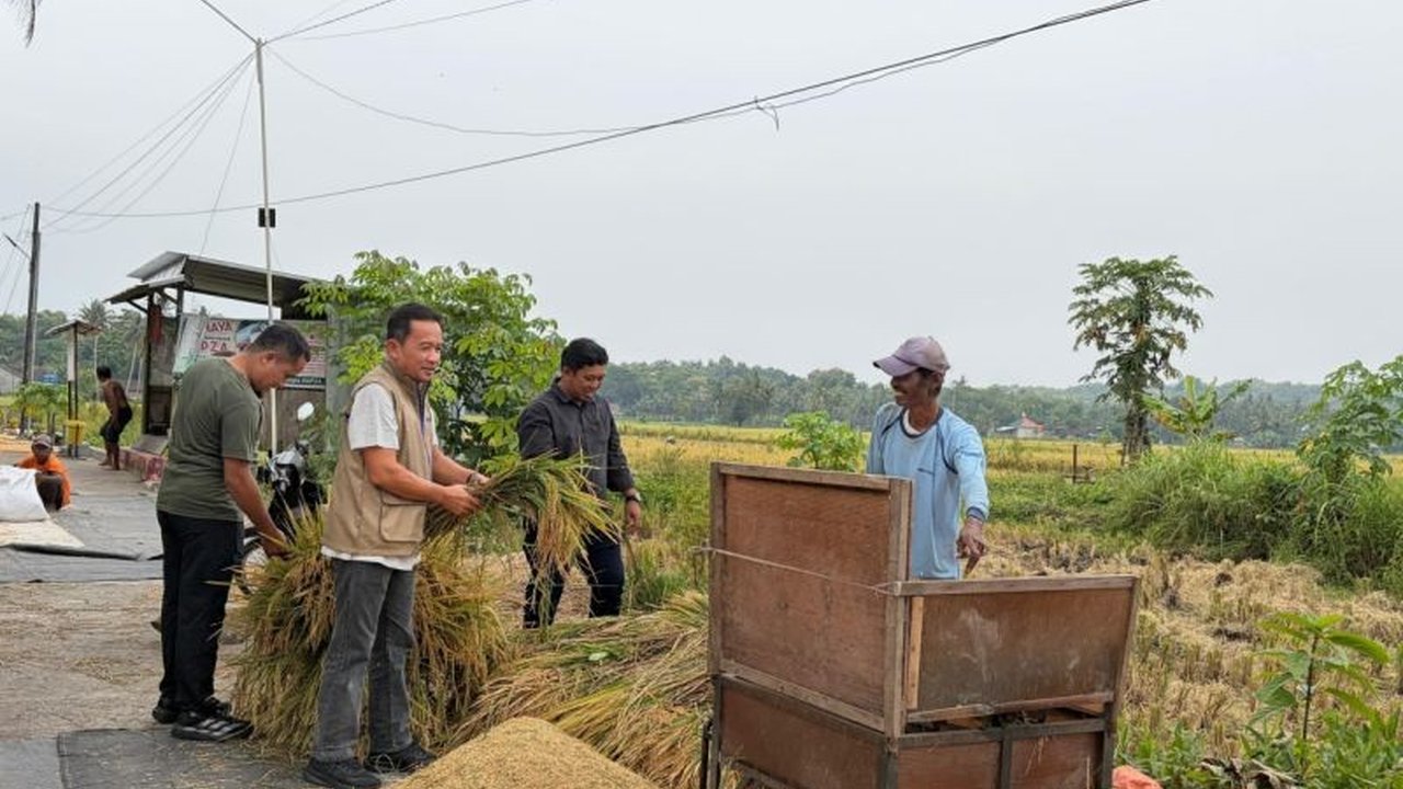 Perum Bulog Kanwil Yogyakarta gencar Bulog Serap Gabah Petani di Bantul, berhasil melampaui target awal 2026. Simak komitmen Bulog dalam menjaga ketahanan pangan nasional!
