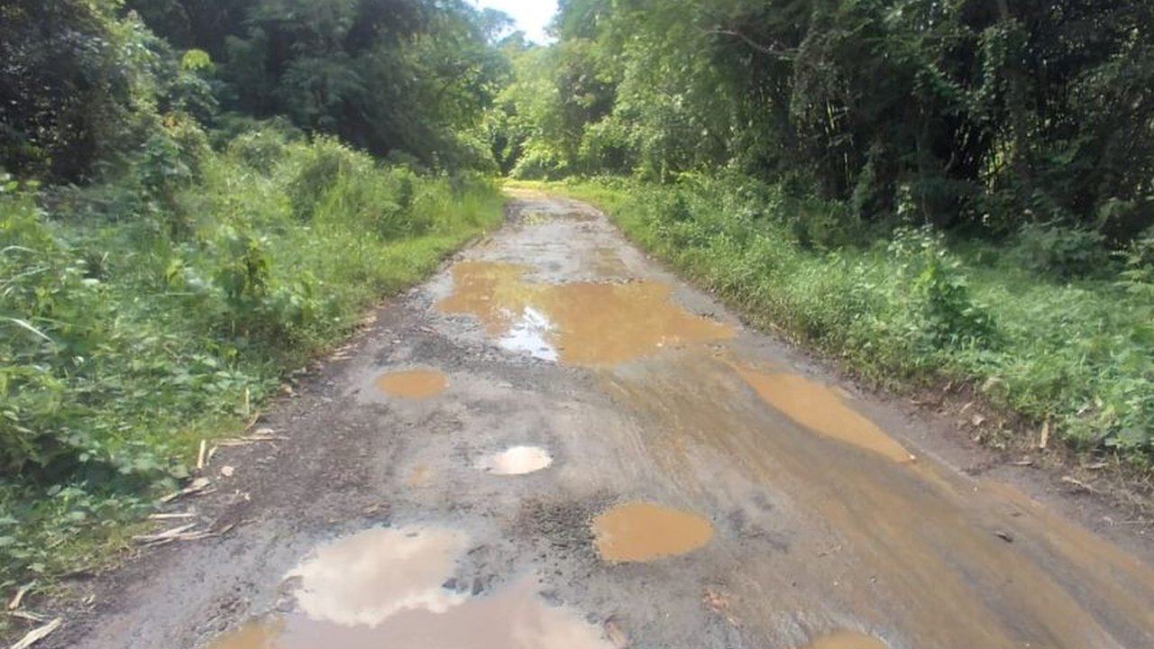 Pemerintah Kabupaten Lebak mengalokasikan anggaran sebesar Rp75,5 miliar untuk program Perbaikan Jalan Lebak, sebuah inisiatif strategis yang diharapkan mampu mendongkrak pertumbuhan ekonomi masyarakat dan mempermudah akses distribusi produk pertanian.
