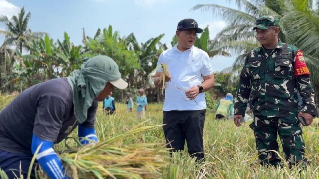 Perum Bulog Kantor Wilayah Sumatera Utara (Sumut) menetapkan target ambisius untuk menyerap 62.718 ton Gabah Kering Panen (GKP) pada tahun 2026. Langkah strategis ini bertujuan menjaga stabilitas harga pangan dan mendukung kesejahteraan petani di wilayah.