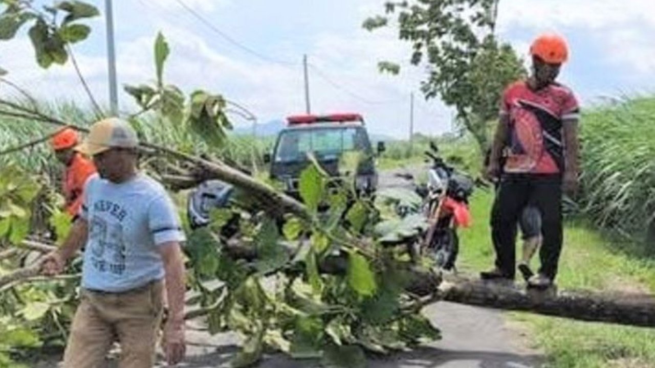 BPBD Magetan melaporkan serangkaian bencana alam akibat cuaca ekstrem, termasuk puluhan pohon tumbang dan kerusakan di berbagai wilayah. Waspada Bencana Magetan Akibat Cuaca Ekstrem.