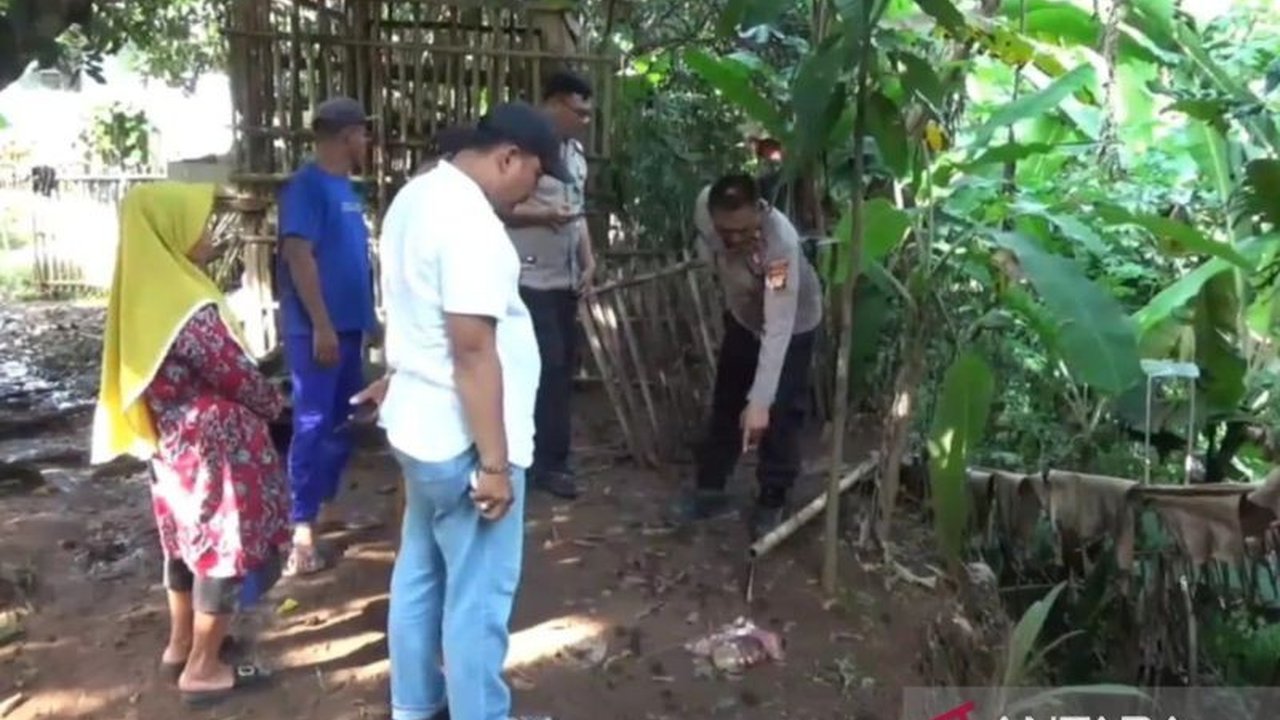 Polisi merespons cepat laporan pencurian hewan ternak jenis kambing di Setu Bekasi. Dua ekor kambing milik warga lansia raib, sementara lima lainnya ditemukan disembelih di lokasi kejadian.