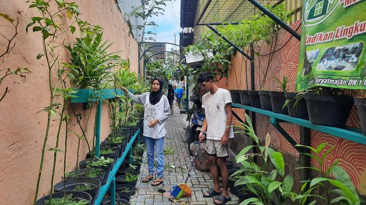 Tanaman Sayur yang Cocok untuk Lahan Kecil Perkotaan/Edelweis Lararenjana