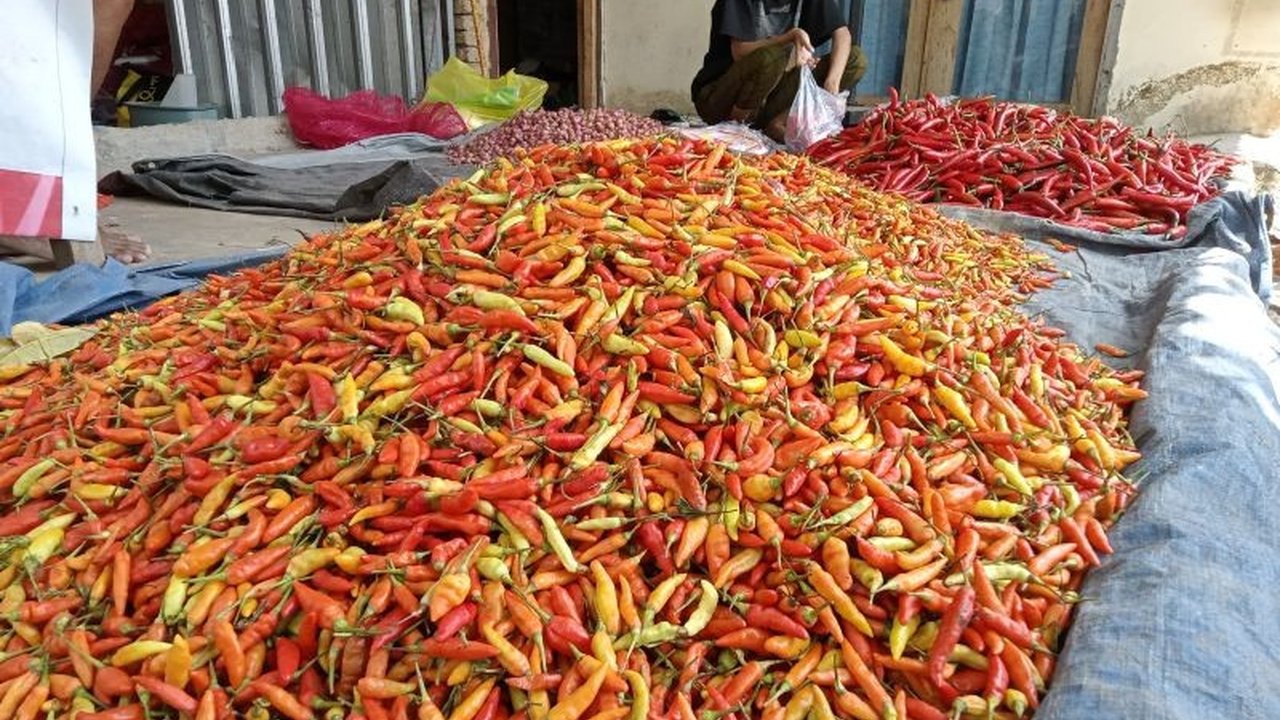 Harga cabai di Mataram melonjak drastis hingga Rp70.000 per kilogram pada Jumat (30/1/2026). Dinas Perdagangan Kota Mataram menjelaskan minimnya pasokan menjadi pemicu utama kenaikan harga cabai Mataram ini.