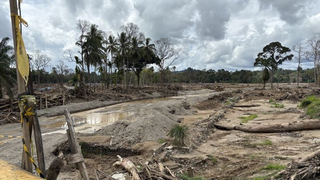 Bupati Tapanuli Selatan Gus Irawan Pasaribu menekankan urgensi alat berat amfibi untuk menyingkirkan tumpukan kayu sepanjang 3,3 km di hilir DAS Batang Toru yang menyebabkan banjir di sejumlah desa.