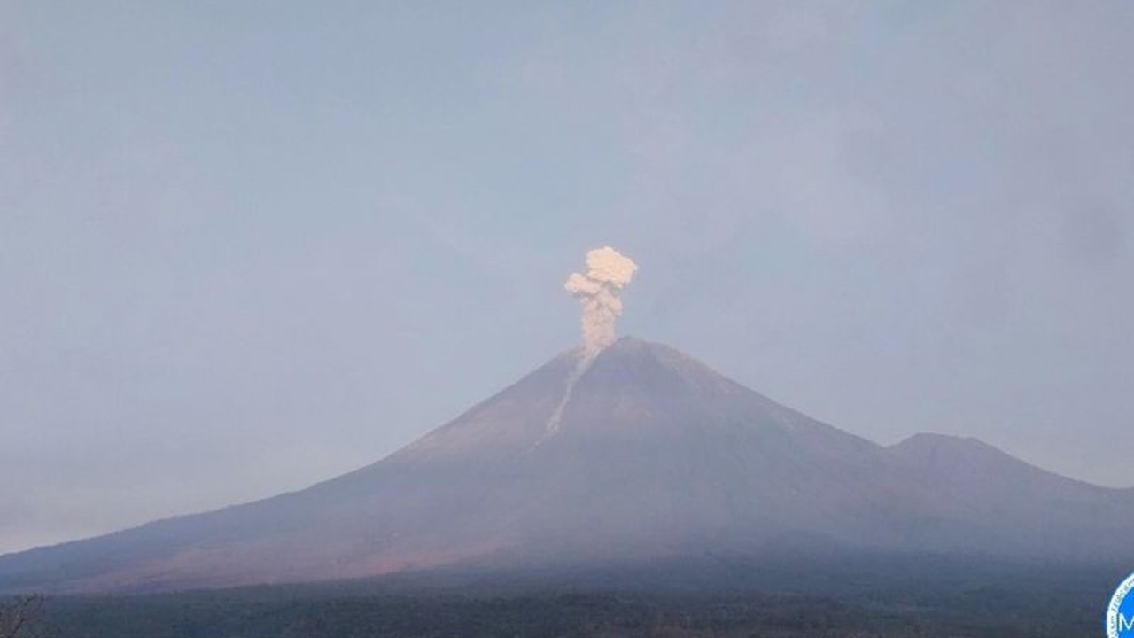 Gunung Semeru Erupsi sebanyak tiga kali pada Jumat pagi, dengan tinggi kolom letusan mencapai 1 kilometer. Pusat Vulkanologi dan Mitigasi Bencana Geologi (PVMBG) menetapkan status Siaga (Level III) dan mengeluarkan rekomendasi penting.
