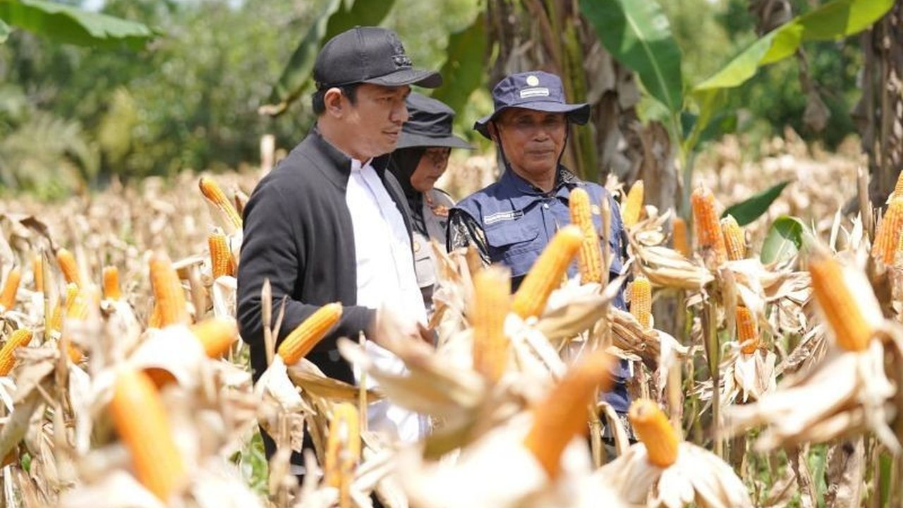 Bupati Bengkulu Utara Arie Septia Adinata menegaskan Program SADESAHE Bengkulu Utara berhasil mengangkat produktivitas desa dan membuka peluang ekonomi baru bagi masyarakat.