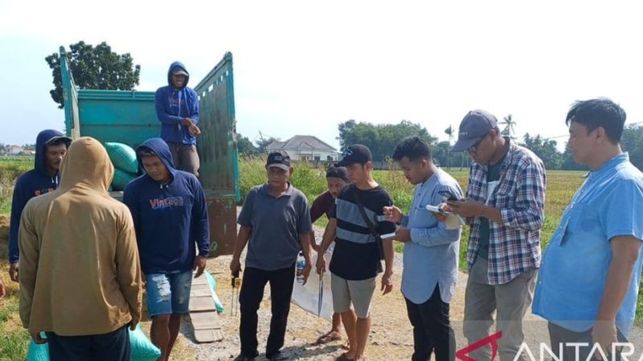 Perum Bulog OKU secara resmi memulai penyerapan gabah petani di Kabupaten OKU Timur seiring masuknya musim panen, langkah strategis untuk menjaga stabilitas harga dan ketersediaan cadangan pangan nasional.