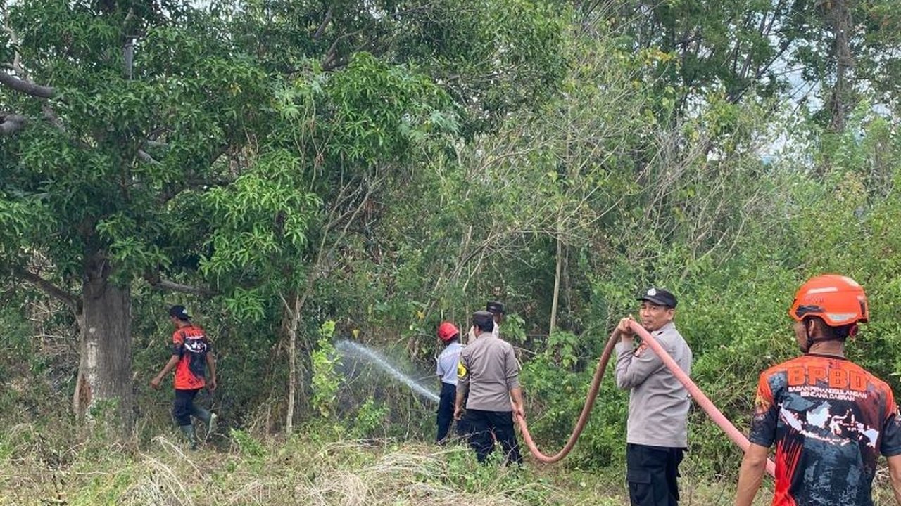 BNPB melaporkan serangkaian Bencana Alam Indonesia, termasuk longsor, banjir, dan karhutla, melanda berbagai daerah dalam dua hari terakhir. Kesiapsiagaan masyarakat menjadi kunci.