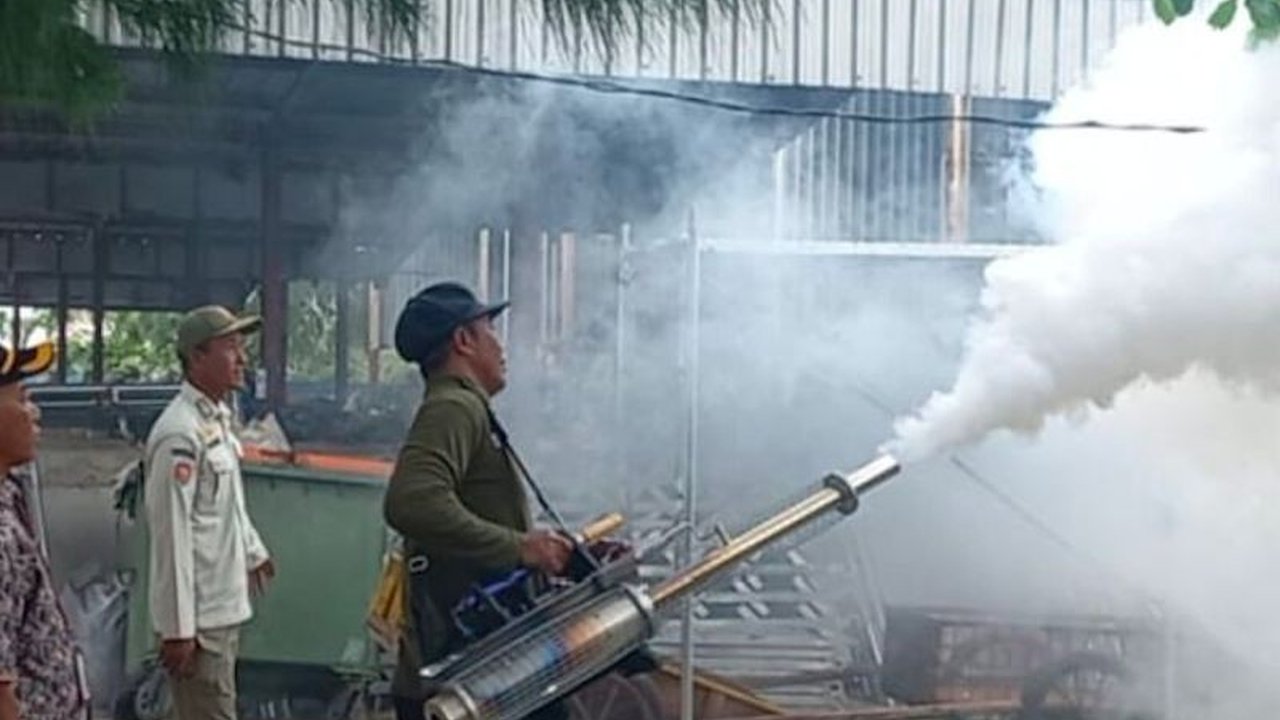 Pemerintah Kelurahan Pulau Harapan bersama Puskesmas gencar lakukan pengasapan untuk cegah DBD. Upaya ini penting mengingat potensi tinggi nyamuk di musim hujan dan untuk melindungi kesehatan masyarakat.