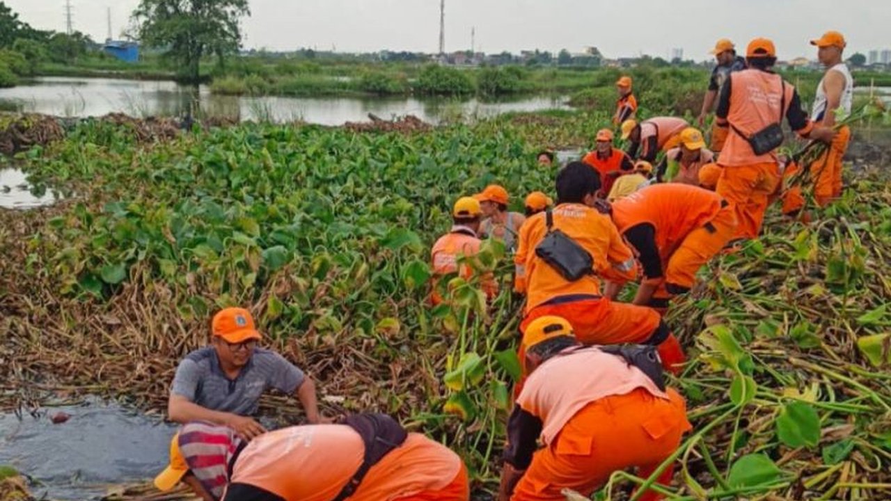 Normalisasi Kali Bogor Marunda terus digencarkan oleh petugas gabungan di Jakarta Utara untuk mencegah banjir saat musim hujan. Upaya ini diharapkan dapat melancarkan aliran air dan menekan potensi genangan di wilayah tersebut.