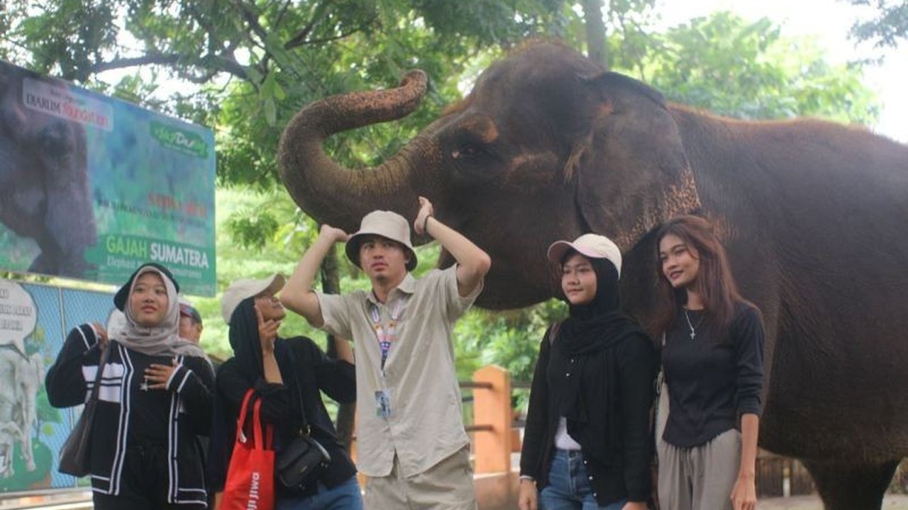 Semarang Zoo secara resmi menghentikan pertunjukan tunggang gajah mulai 1 Januari 2026, menegaskan komitmen terhadap prinsip konservasi dan kesejahteraan satwa, serta mematuhi regulasi nasional terkait penghentian tunggang gajah.