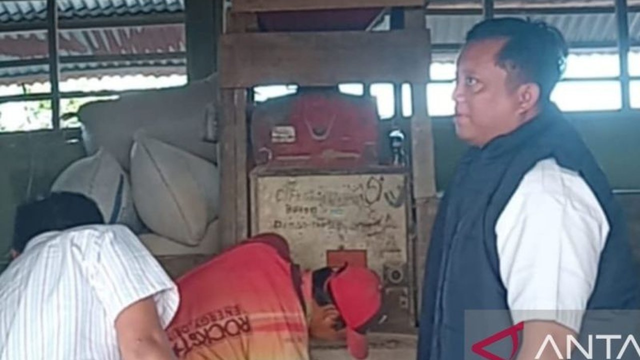 Perum Bulog Cabang Belitung siap beli beras petani di Belitung dan Belitung Timur seharga Rp12.000 per kilogram, langkah strategis menjaga stabilitas harga dan ketahanan pangan nasional.