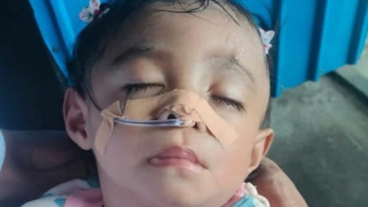 Yosefasania Alena Diut, bayi berusia 1,7 tahun di Kabupaten Manggarai, NTT yang menderita bocor jantung. (Liputan6.com/ Ola Keda)