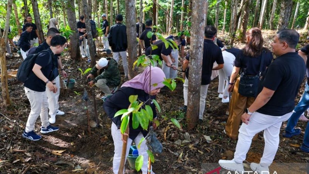 Otorita IKN gencar melakukan pemulihan dan pengayaan ekosistem hutan secara berkelanjutan di kawasan Ibu Kota Nusantara (IKN) dengan pendekatan ekologis, menciptakan pusat pemerintahan berwawasan lingkungan.