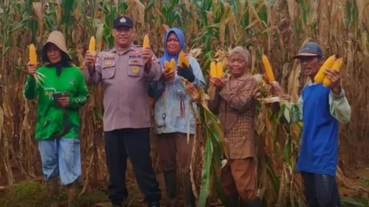 Polsek Batu Ampar sukses melaksanakan panen jagung bersama petani di Tanah Laut, Kalimantan Selatan. Kegiatan ini menjadi wujud nyata dukungan terhadap program ketahanan pangan nasional, sekaligus meningkatkan kesejahteraan petani melalui Polsek Batu Ampa