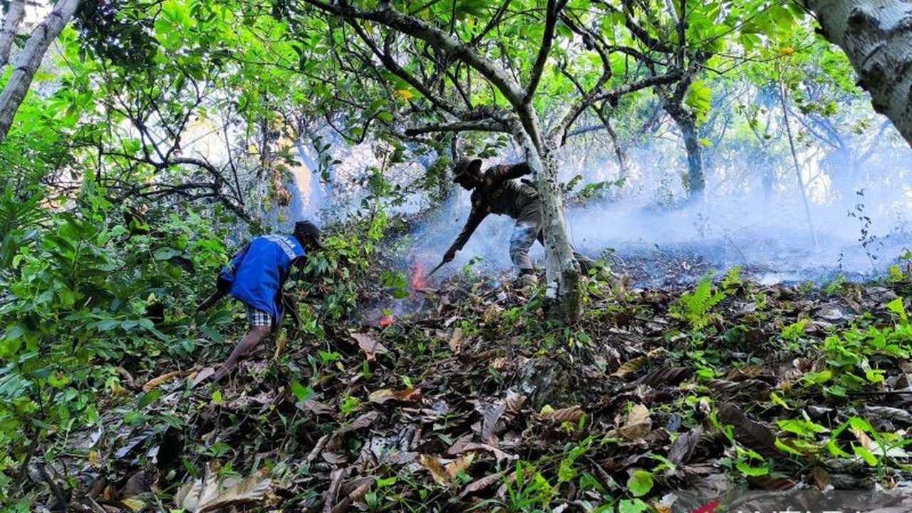 Pemerintah Kabupaten Parigi Moutong (Pemkab Parimo) mengandalkan alat manual seperti tangki semprot dan mesin alkon untuk pemadaman Karhutla di wilayahnya, terutama di medan sulit.