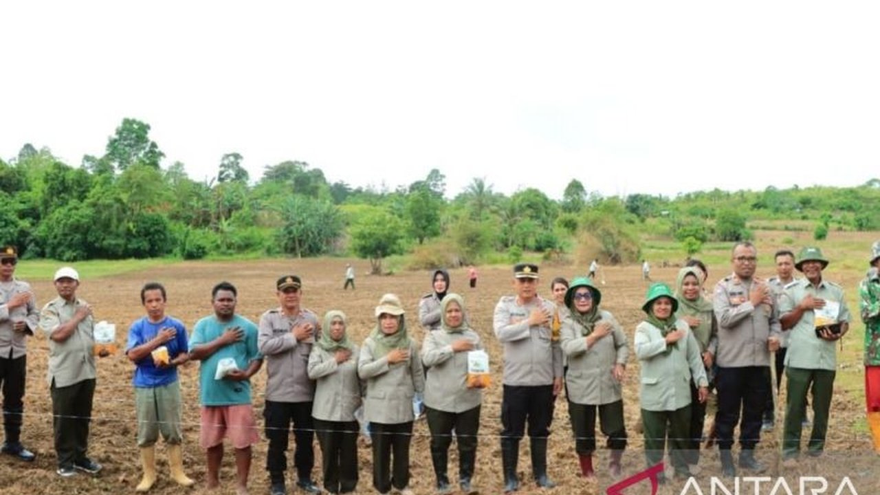 Polresta Pulau Ambon dan Pulau-Pulau Lease menunjukkan komitmen kuat dalam mendukung program ketahanan pangan nasional melalui penanaman jagung hibrida di lahan produktif seluas 11,71 hektare.