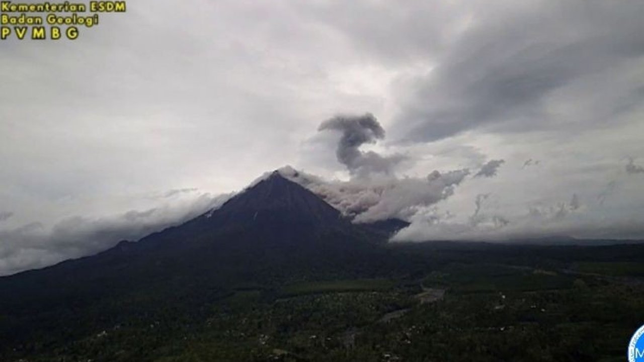 Gunung Semeru kembali menunjukkan aktivitas vulkanik signifikan dengan lima kali erupsi dan awan panas guguran. Masyarakat diimbau waspada terhadap potensi bahaya Erupsi Gunung Semeru.
