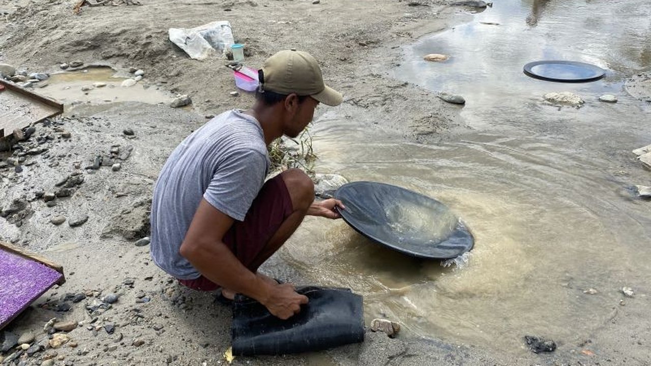 Bencana banjir bandang di Aceh Tenggara menyisakan duka, namun membawa berkah tak terduga. Warga kini beralih menambang Emas Aceh Pasca Banjir, mengubah sungai yang merusak menjadi sumber penghidupan baru.