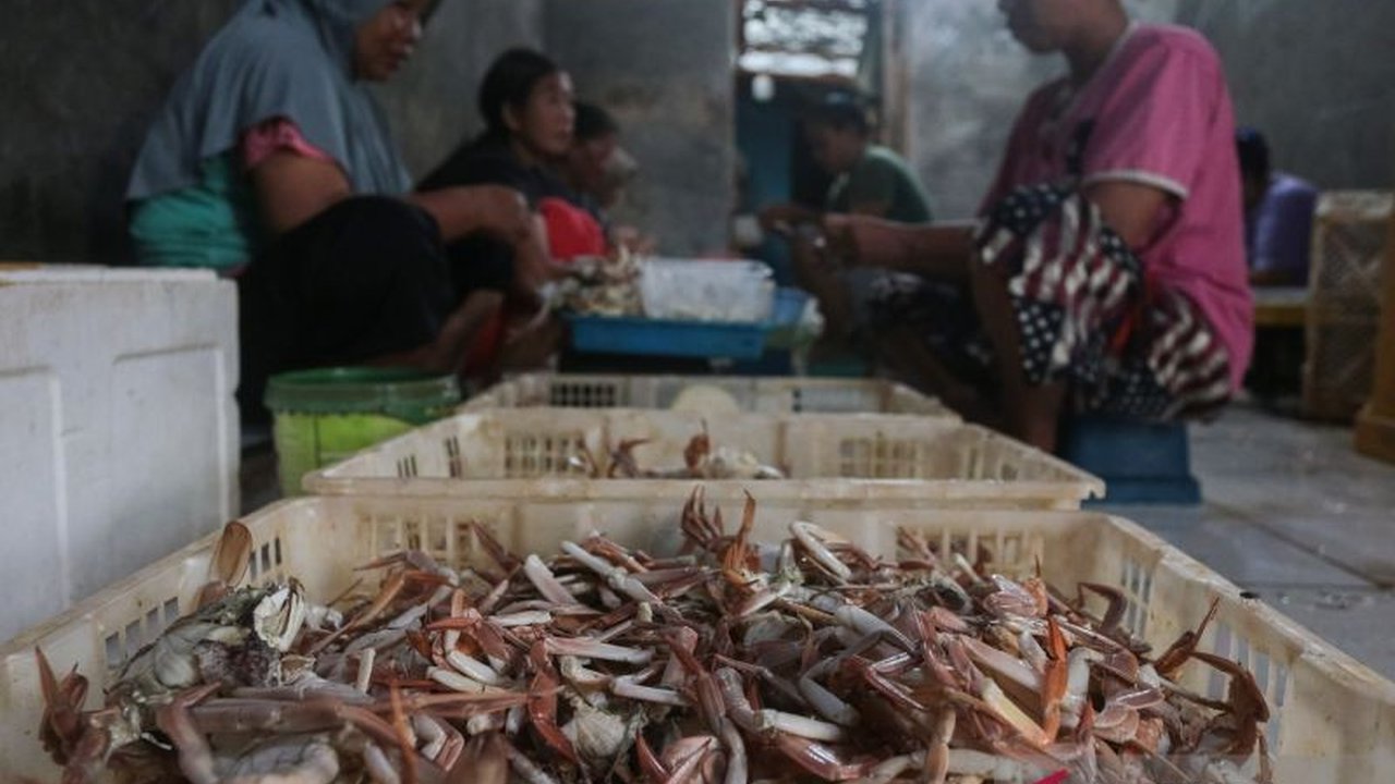 Kementerian Kelautan dan Perikanan (KKP) intensifkan Pengawasan Mutu Produk Perikanan dari hulu hingga hilir demi memastikan keamanan konsumsi masyarakat selama Ramadan dan Lebaran 2026.