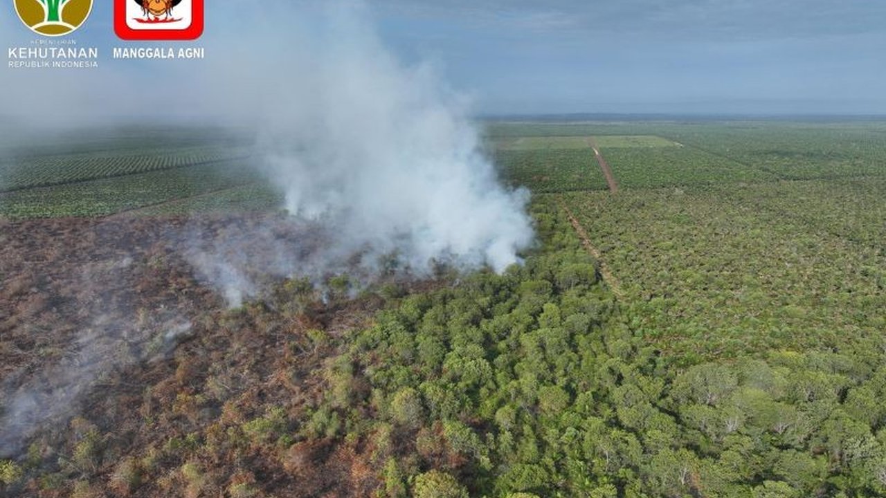 Pemerintah Provinsi Riau resmi menetapkan status siaga darurat Karhutla mulai 13 Februari hingga 30 November 2026, menyusul meluasnya kebakaran hutan dan lahan di 10 kabupaten/kota.