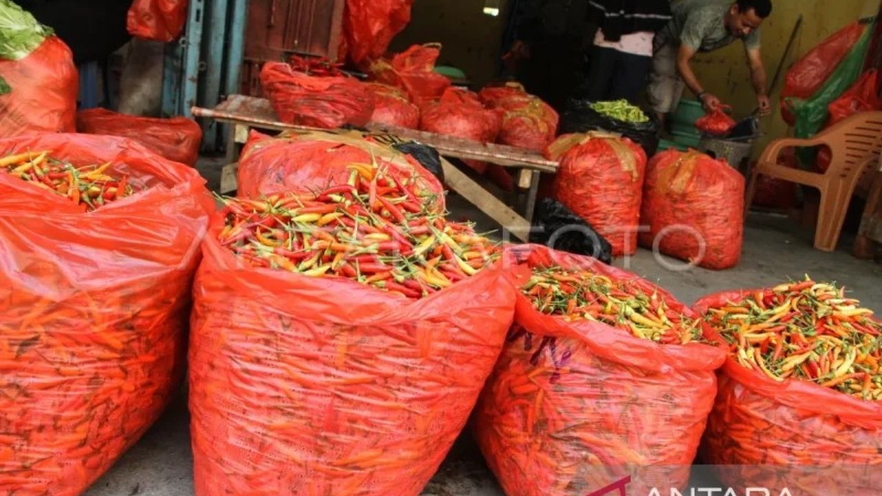 Harga cabai di Makassar mengalami lonjakan signifikan hingga Rp55 ribu per kilogram menjelang Ramadhan. Kenaikan harga cabai Makassar ini dipicu oleh kurangnya pasokan dan faktor cuaca ekstrem.