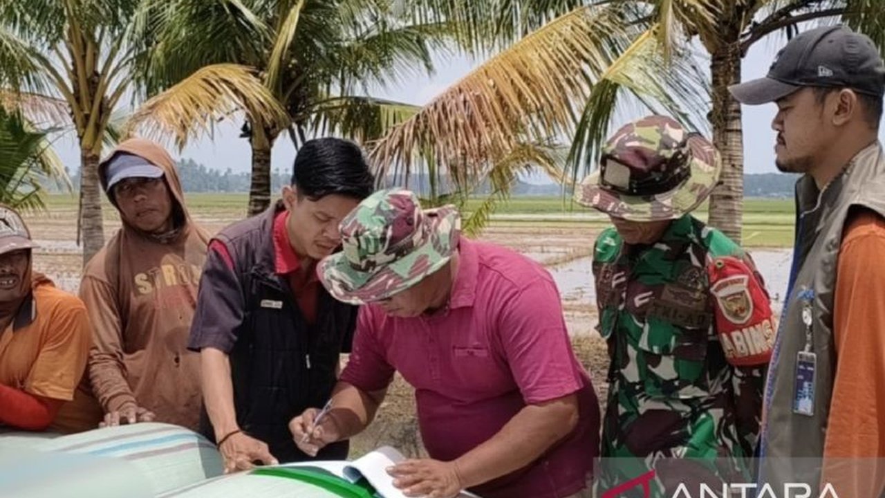 Perum Bulog OKU berhasil melakukan penyerapan gabah petani hingga 1.665 ton di OKU Timur, memastikan pasokan pangan dan meningkatkan ekonomi lokal. Simak detail penyerapan gabah Bulog OKU.