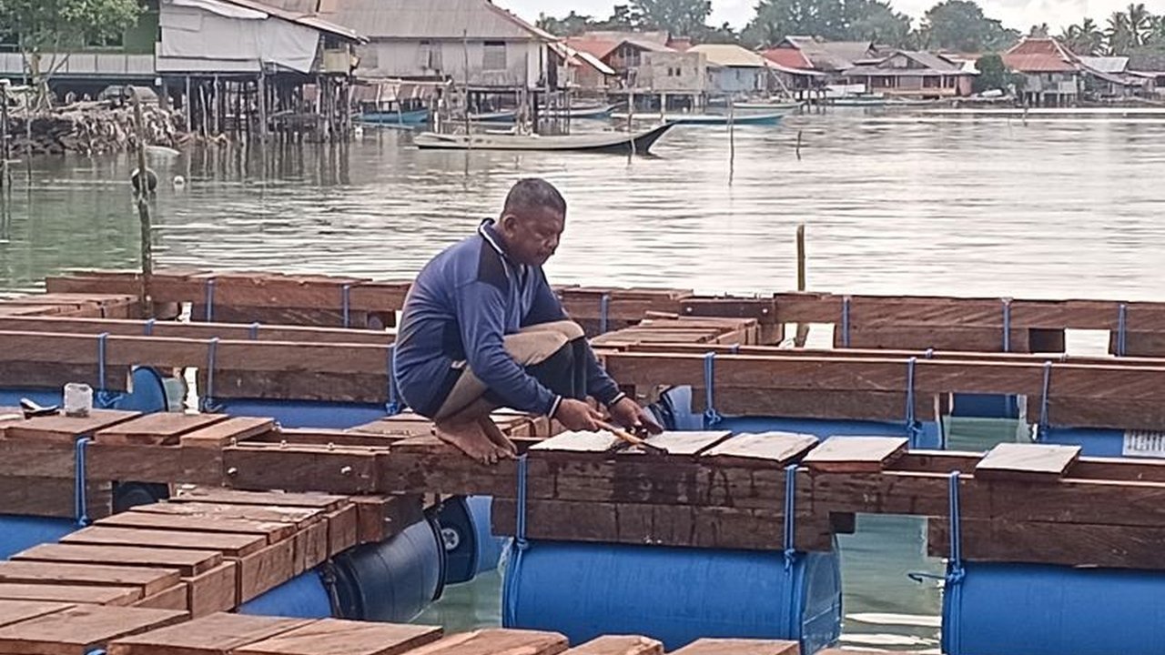 IPB University berkolaborasi dengan masyarakat adat mengembangkan sea farming di Wakatobi. Program ini bertujuan memperkuat ekonomi pesisir dan keberlanjutan sumber daya laut dengan kearifan lokal.