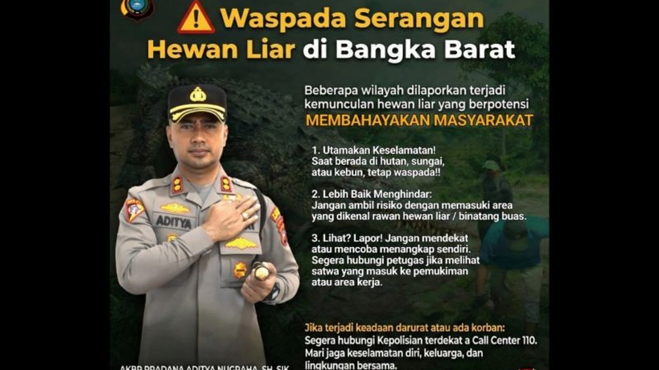 Polres Bangka Barat merilis peta lokasi rawan buaya di enam kecamatan. Langkah ini bertujuan meningkatkan kewaspadaan warga dan mencegah serangan buaya yang berulang, demi keselamatan bersama.