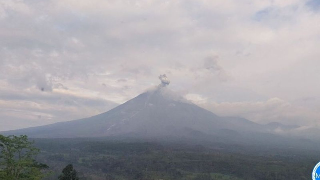 Badan Geologi melaporkan aktivitas vulkanik Gunung Semeru di Jawa Timur tetap tinggi hingga pertengahan Februari 2026. Masyarakat diminta waspada terhadap awan panas guguran dan guguran lava, seiring status Level III (Siaga) yang diberlakukan.