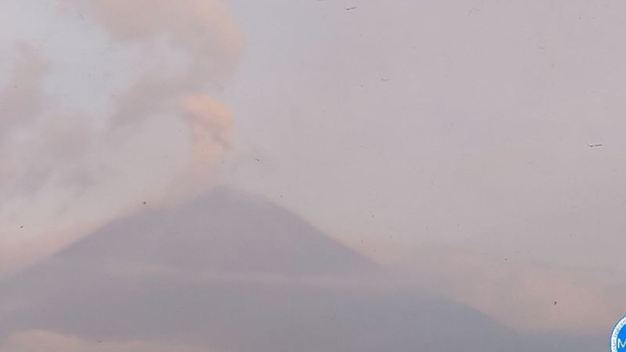 Gunung Semeru erupsi sebanyak tujuh kali pada Jumat pagi, 20 Februari 2026, dengan tinggi letusan mencapai 1 kilometer. Pusat Vulkanologi dan Mitigasi Bencana Geologi (PVMBG) menetapkan status Siaga dan mengeluarkan rekomendasi penting bagi masyarakat di.
