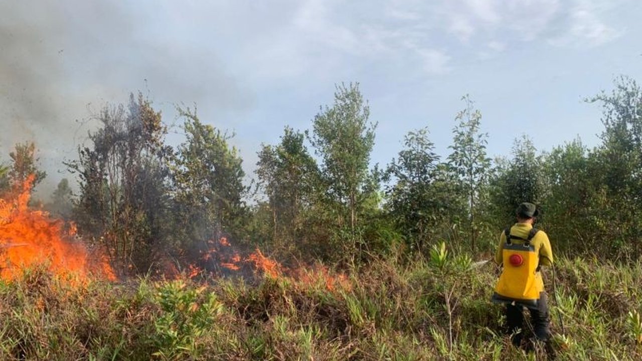 BPBD Sukamara aktif menanggulangi karhutla di Kalimantan Tengah, dengan 85 hektare lahan terbakar sepanjang awal tahun 2026. Masyarakat diimbau waspada dan tidak melakukan pembakaran lahan.