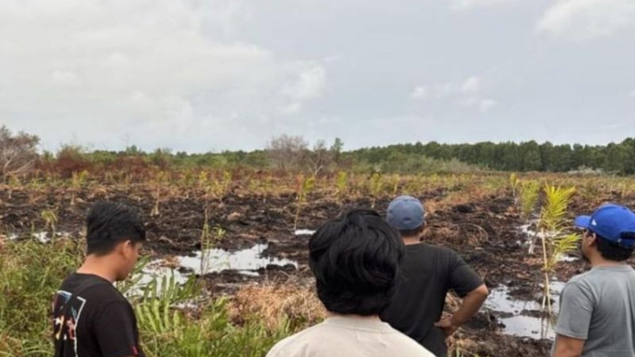 Polres Bengkalis berhasil menetapkan seorang tersangka pembakar lahan seluas tiga hektare di Desa Teluk Lancar, Kecamatan Bantan, Riau. Motif pembakaran lahan ini terungkap cukup mengejutkan.