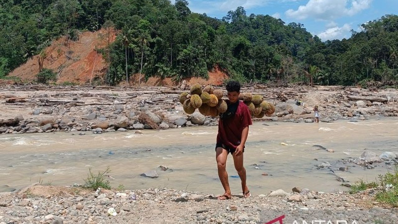 Warga Desa Sibio-bio, Tapanuli Tengah, harus menantang derasnya Sungai Muara untuk mengangkut hasil pertanian akibat jembatan putus, membuat Jembatan Putus Sibio-bio menjadi isu krusial yang mendesak perhatian pemerintah.
